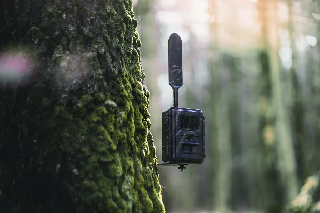 SEISSIGER Wildkamera LTE - SUPERSIM-Edition Li-Ion-Akku-Pack SEISSIGER Wildkamera LTE - SUPERSIM-Edition Li-Ion-Akku-Pack