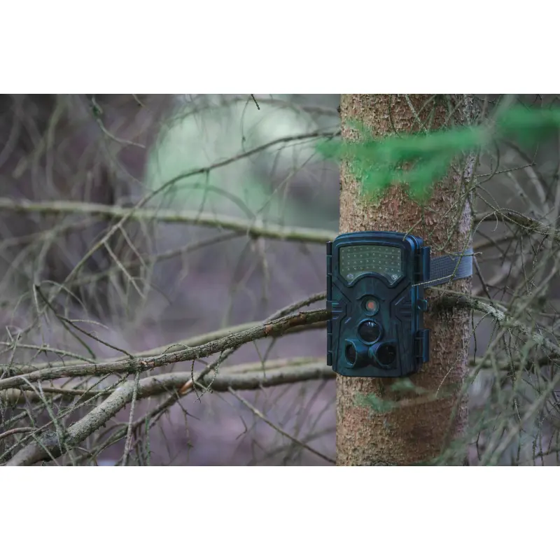 BRAUN Scouting Cam Black1300 WiFi Wildkamera am Baum montiert