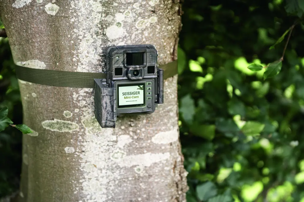 SEISSIGER Wildkamera Mini-Cam geöffnet, Bedienung am Baum mit sichtbarem Display