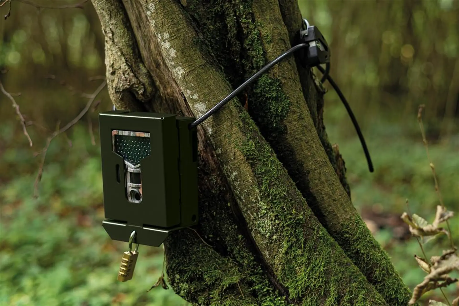 Master Lock Kabelschloss Python Schwarz