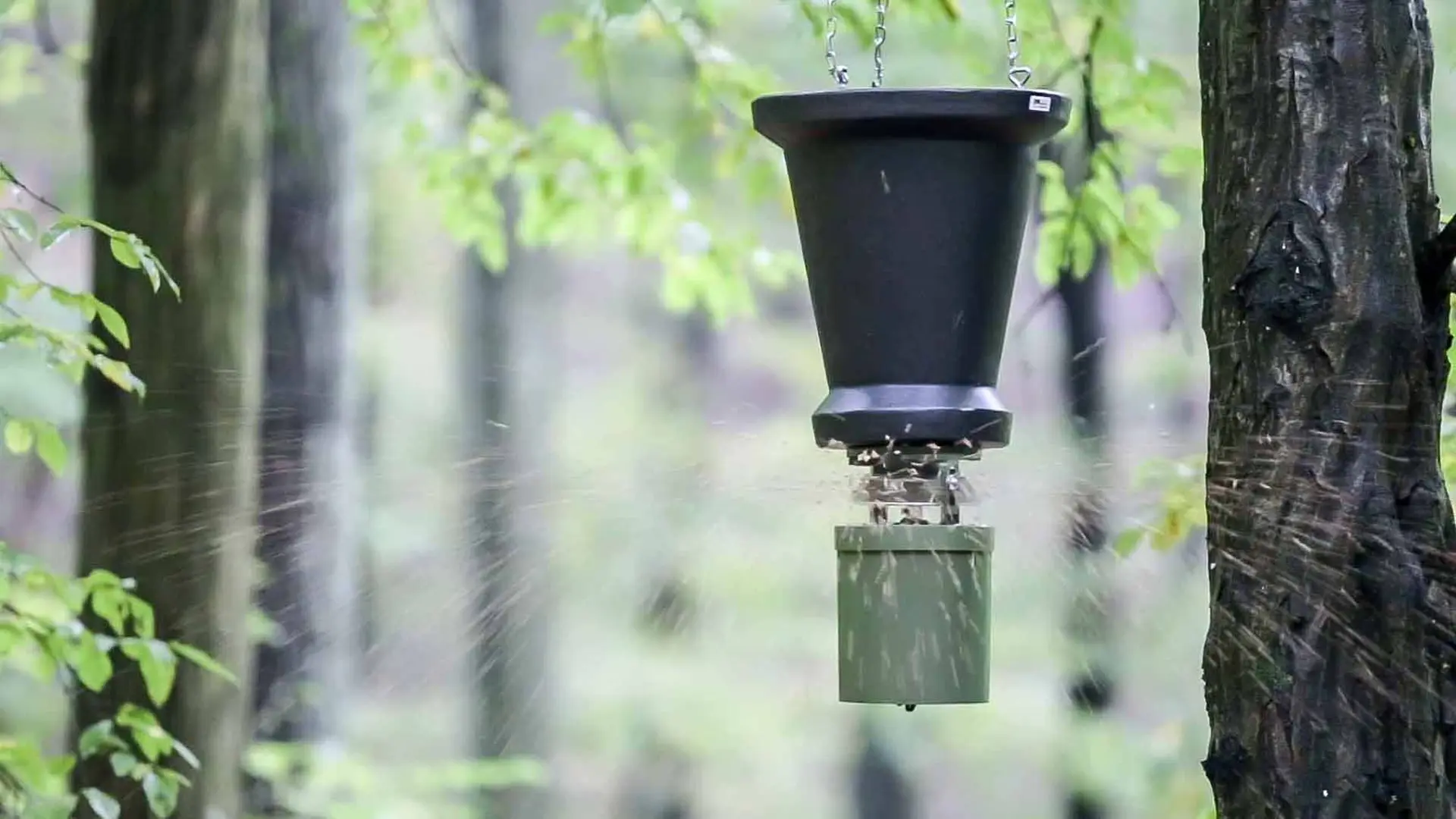 EUROHUNT Futterautomat Light 6V