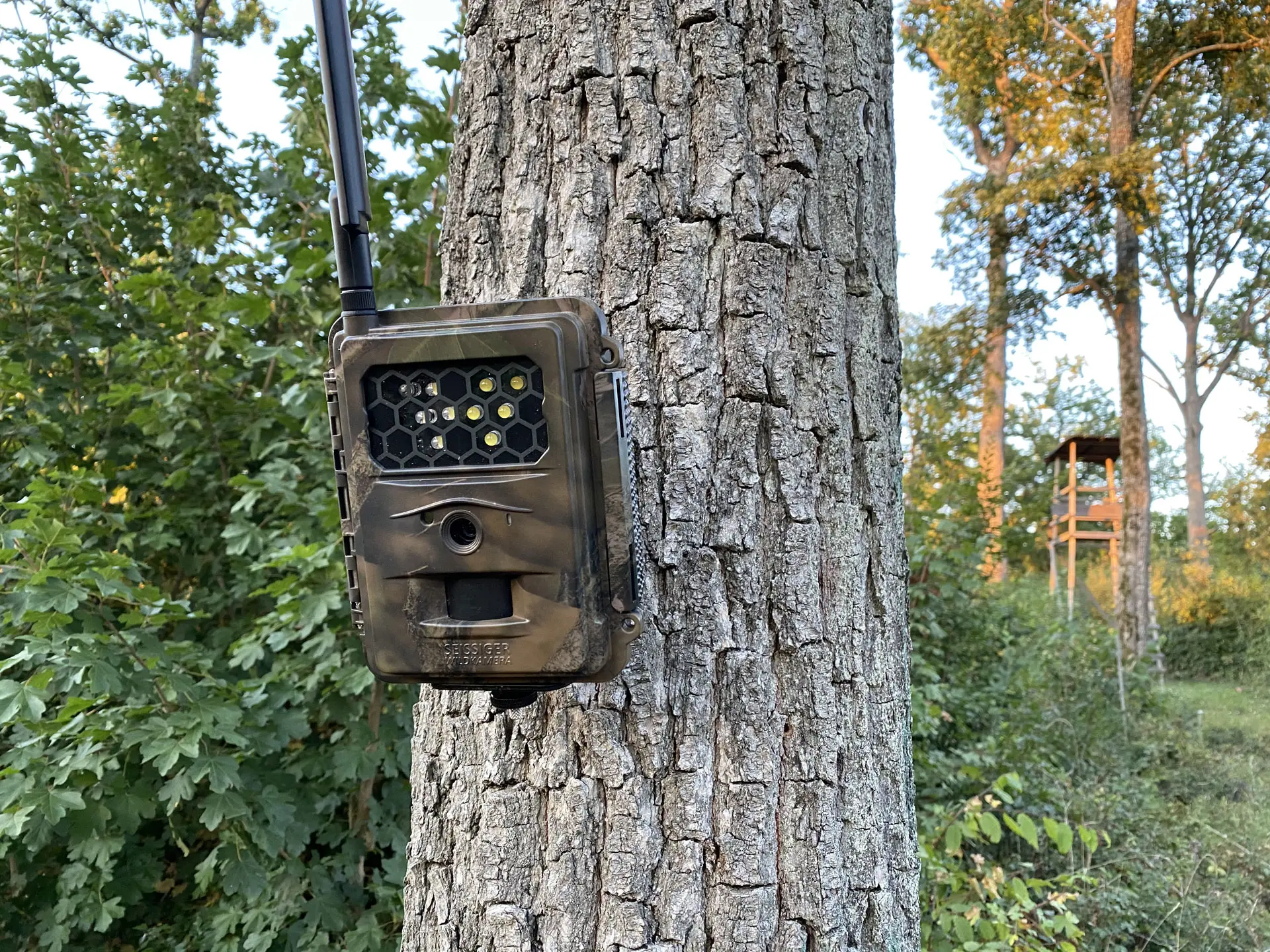 SEISSIGER Special-Cam LTE Weißblitz - SUPERSIM-Edition