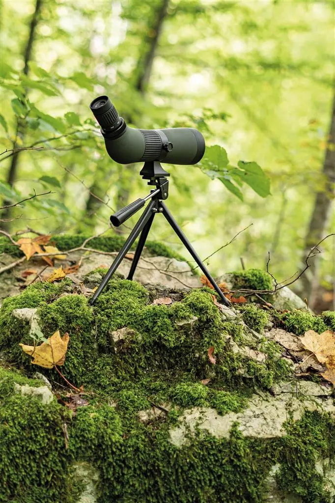 Dörr Zoomspektiv Kauz 12-36x60 mit Tischstativ