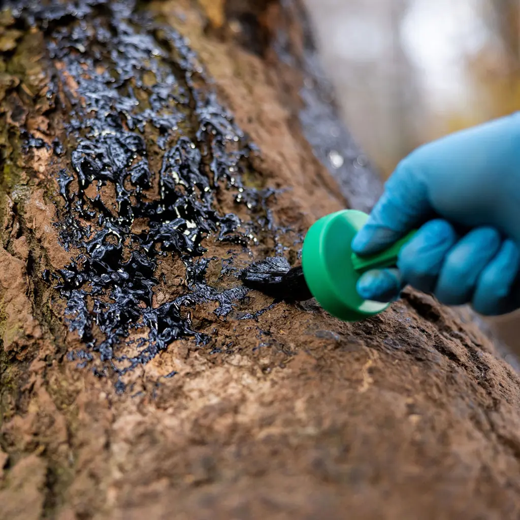 Weisskirchen Wildlockmittel Buchenholzteer 500 g mit Pinsel