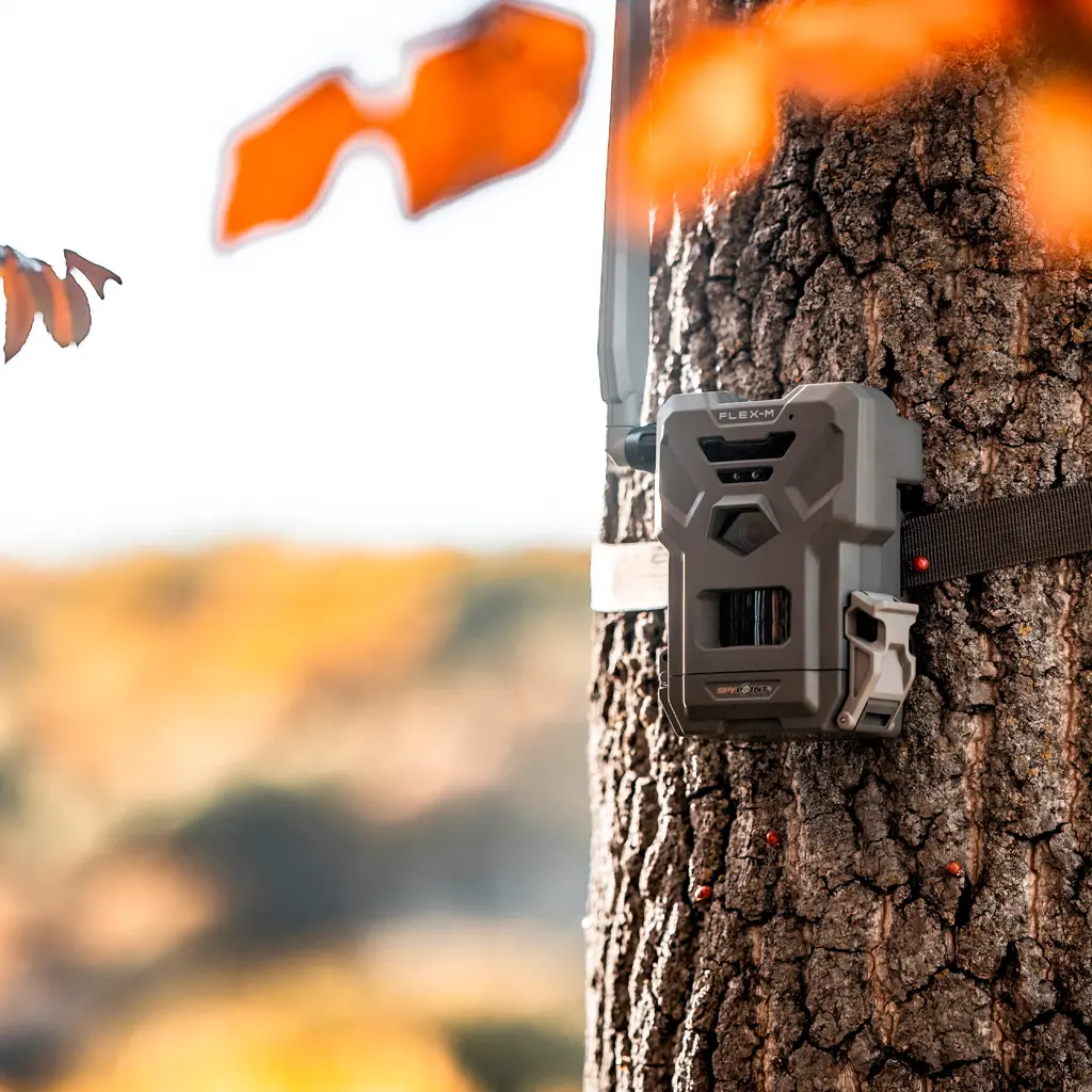SPYPOINT FLEX-M Wildkamera am Baum im herbstlichen Revier befestigt