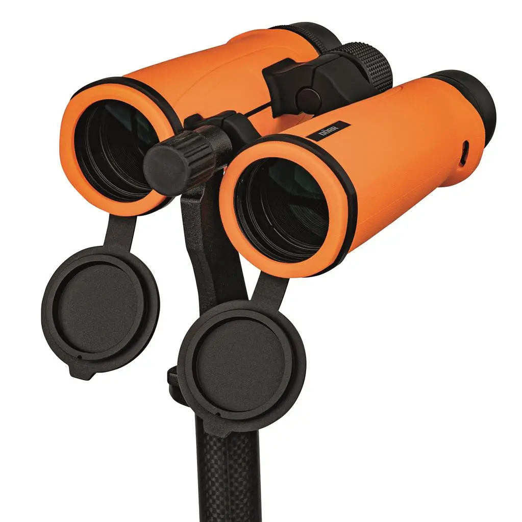 Dörr Dachkantfernglas SIGNAL XP 10x42 orange