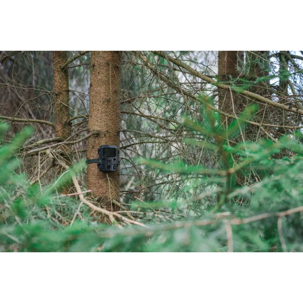 BRAUN Scouting Cam Black200 Mini