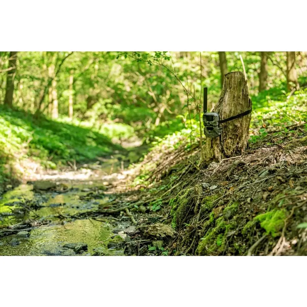 HIKMICRO Funk-Wildkamera T16 montiert in Waldumgebung am Bachlauf