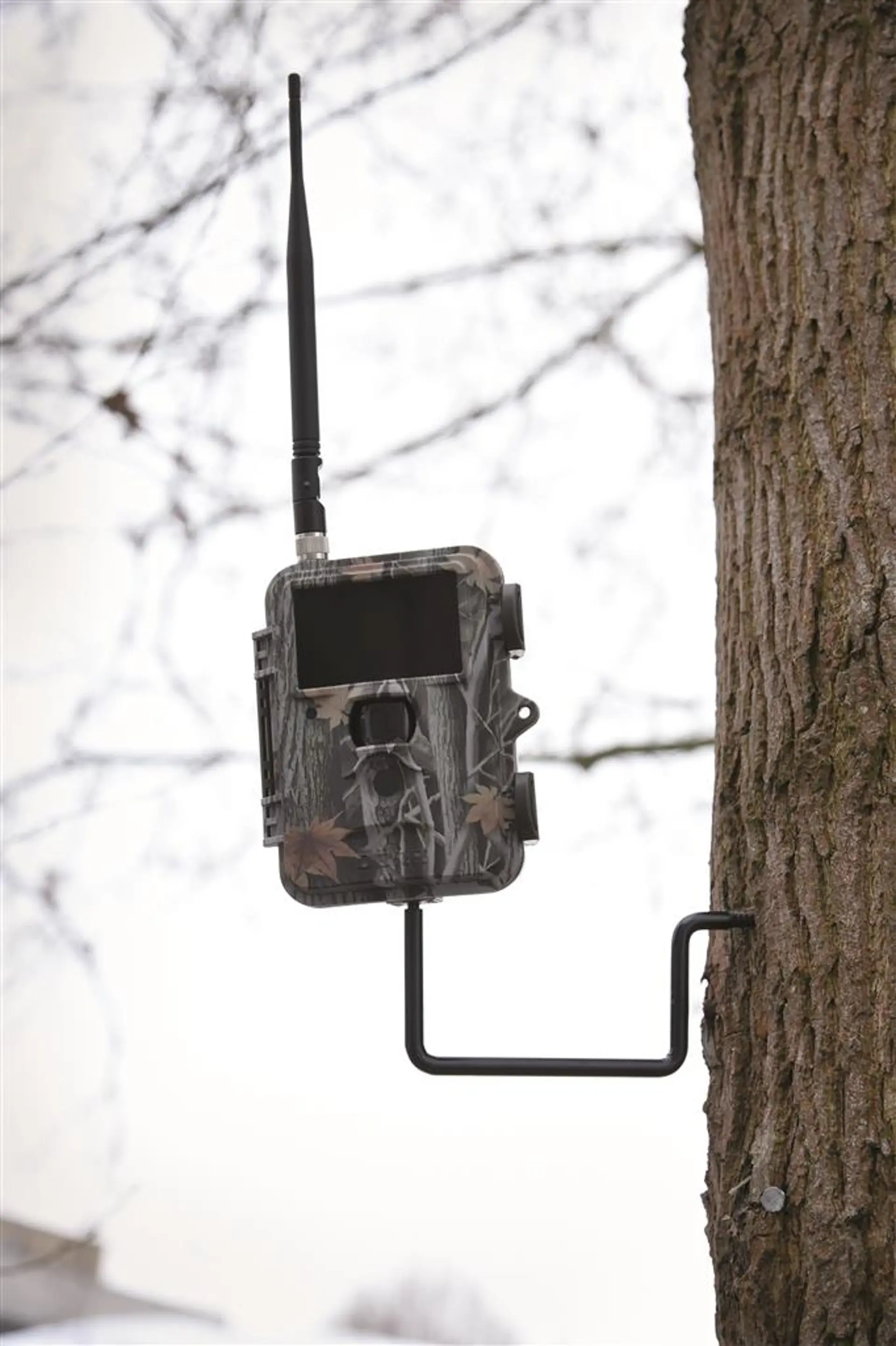 Dörr Baumschraube 1/4" für Überwachungskameras