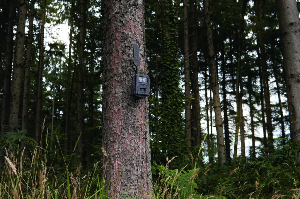 SEISSIGER Special-Cam LTE "Weißblitz" - SUPERSIM-Edition