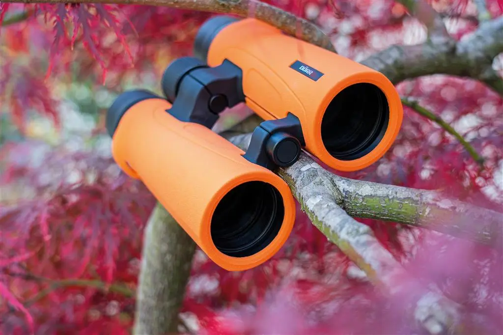 Dörr Dachkantfernglas SIGNAL XP 10x42 orange