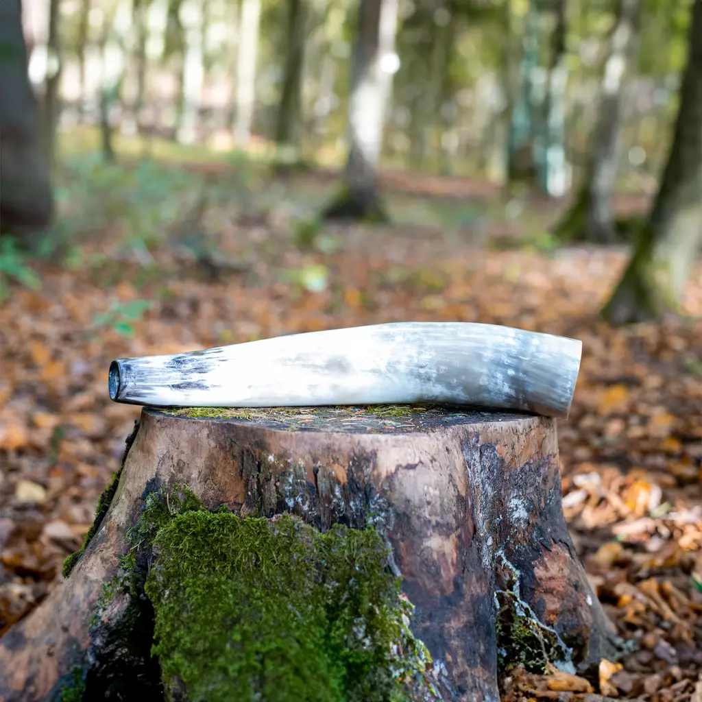 Weisskirchen Ochsenhorn 40cm Hirschruf auf einem Baumstumpf im Wald