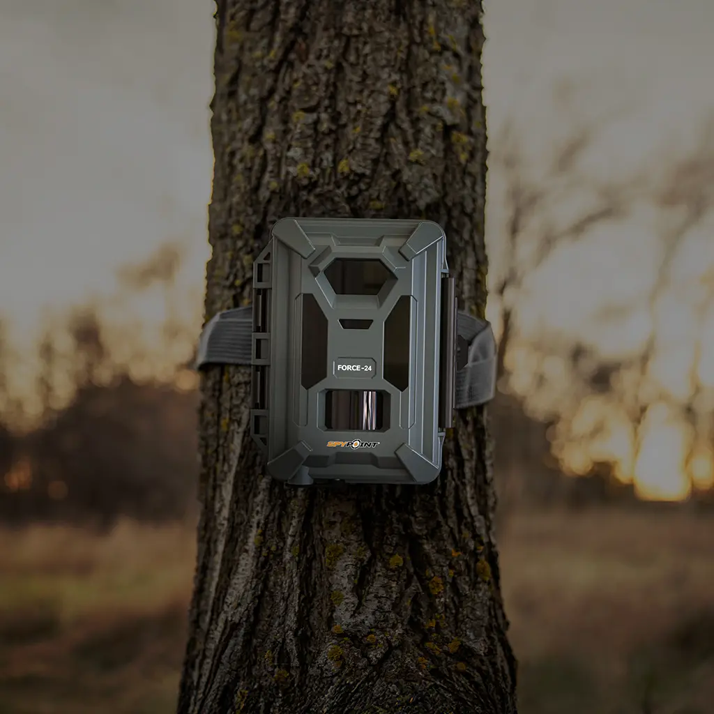 SPYPOINT FORCE-24 Wildkamera montiert am Baum