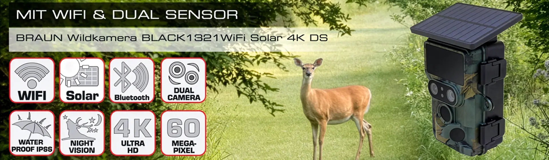 BRAUN Scouting Cam BLACK1321 WiFi Solar 4K DS | Wildbeobachtung zwischen Sonnenaufgang und Sternenhimmel