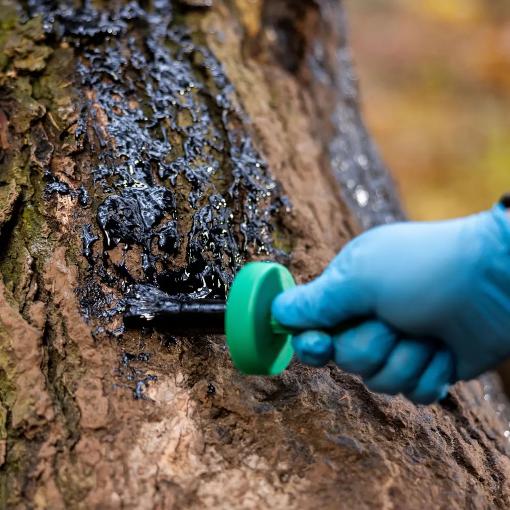 Weisskirchen Wildlockmittel Buchenholzteer 500 g mit Pinsel