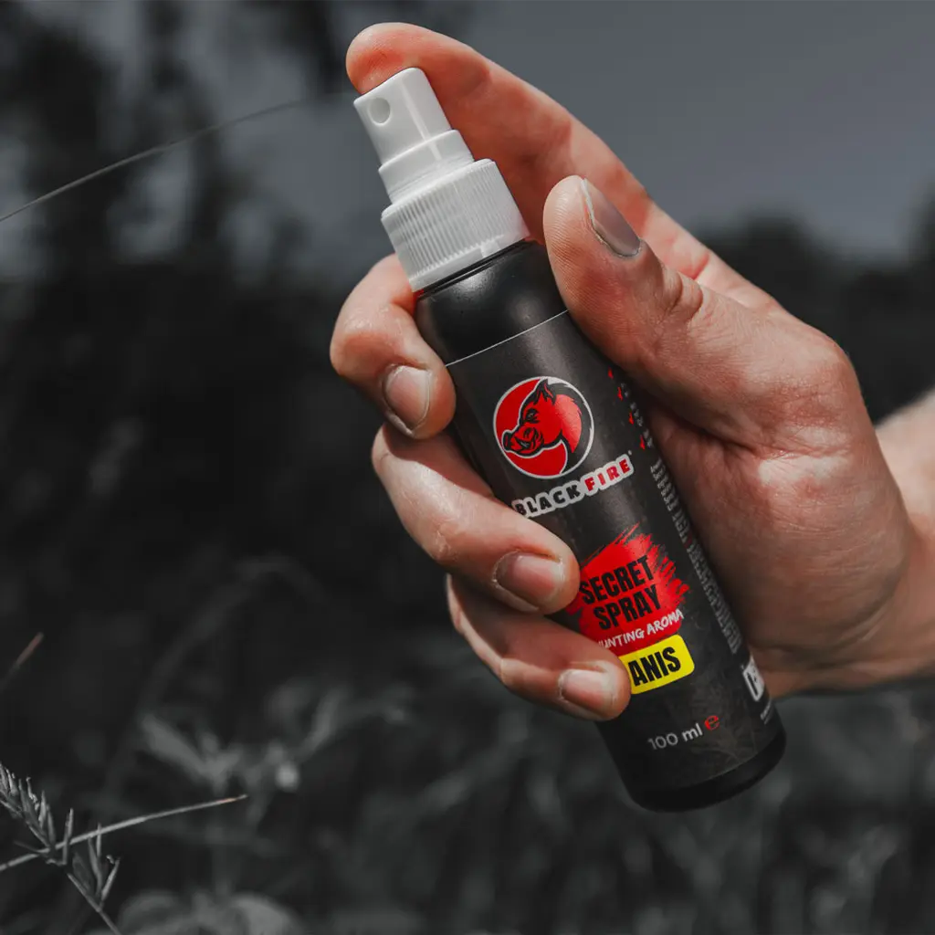 BLACK FIRE Secret Spray Anis 100 ml Anwendung in der Hand