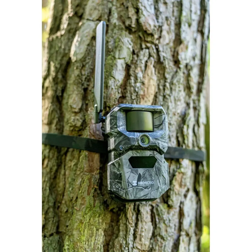 HIKMICRO Funk-Wildkamera T16 am Baum montiert mit Installationsgurt