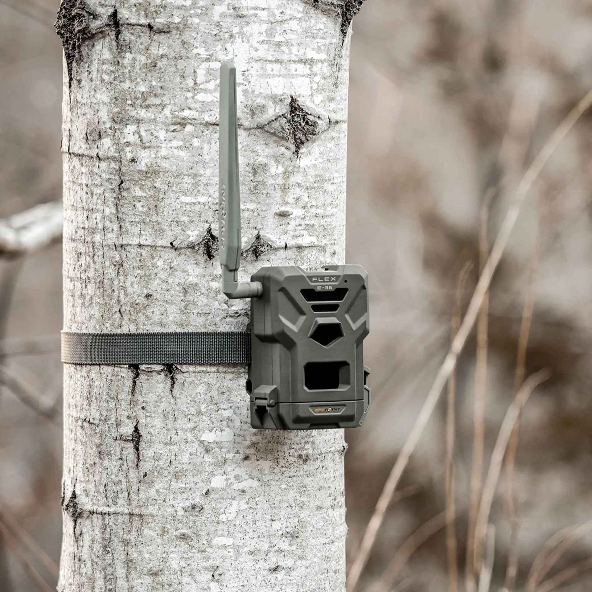 SPYPOINT FLEX E-36 TWIN-PACK SPYPOINT FLEX E-36 TWIN-PACK