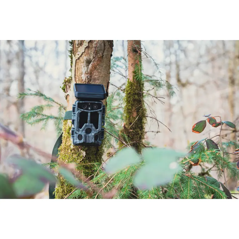BRAUN Scouting Cam Black1320 WiFi Solar 4K DS