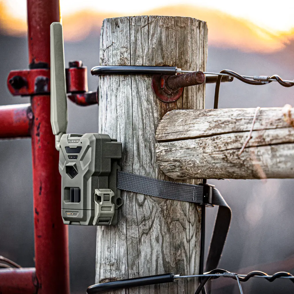 SPYPOINT FLEX-M montierte Wildkamera am Holzpfahl im Reviereinsatz