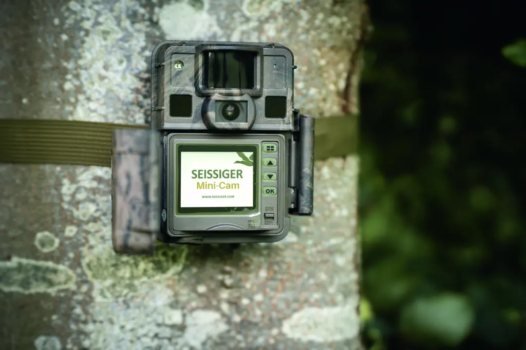 SEISSIGER Wildkamera Mini-Cam mit Display am Baum montiert für die Einrichtung