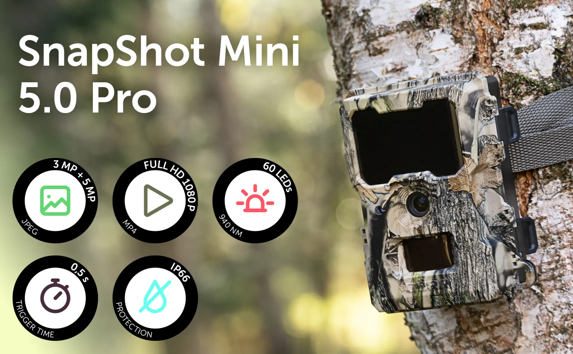 DÖRR SnapShot Mini 5.0 Pro - die kompakte Wildkamera