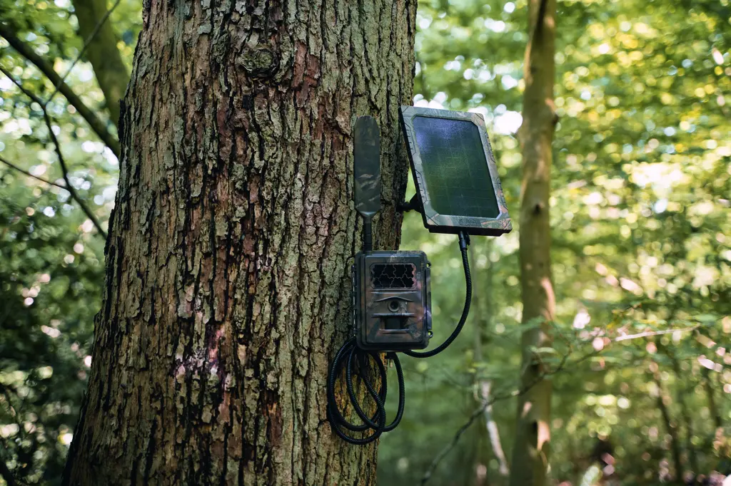 SEISSIGER Wildkamera LTE - SUPERSIM-Edition Li-Ion-Akku-Pack SEISSIGER Wildkamera LTE - SUPERSIM-Edition Li-Ion-Akku-Pack