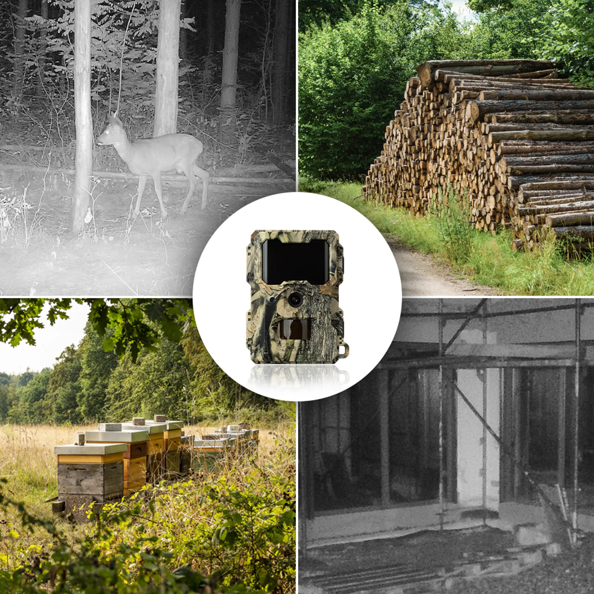 Dörr SnapShot Mini 5.0 Pro