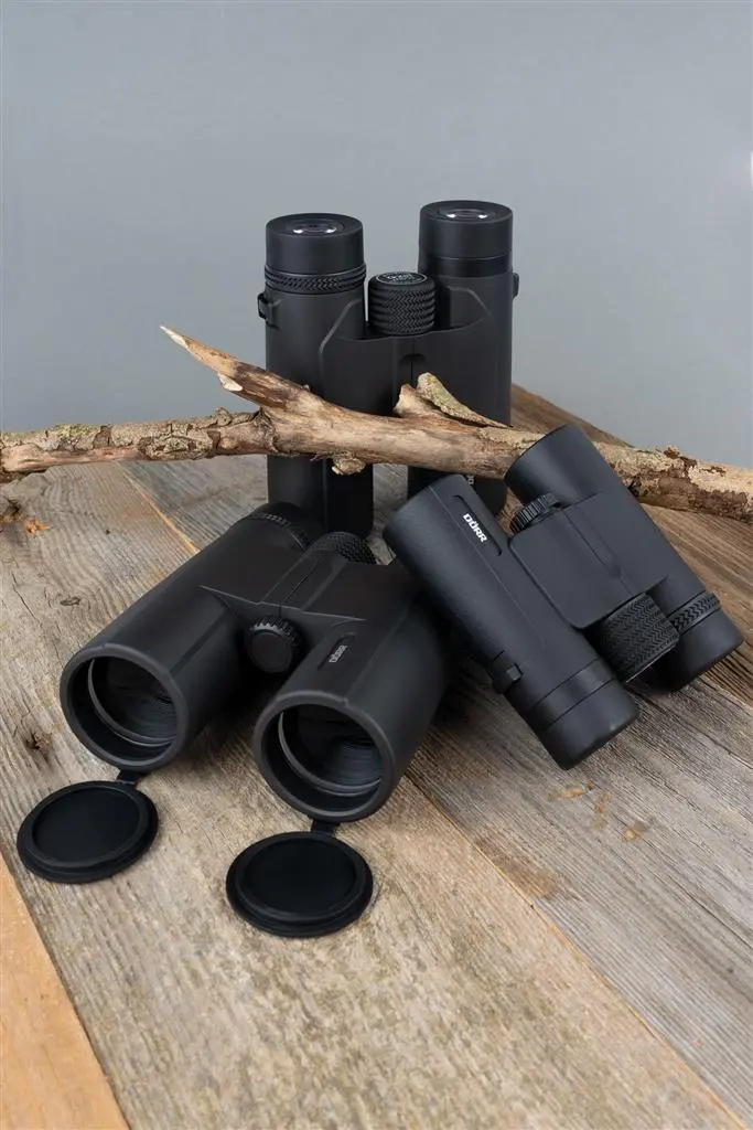 Dörr Dachkantfernglas Scout 8x42