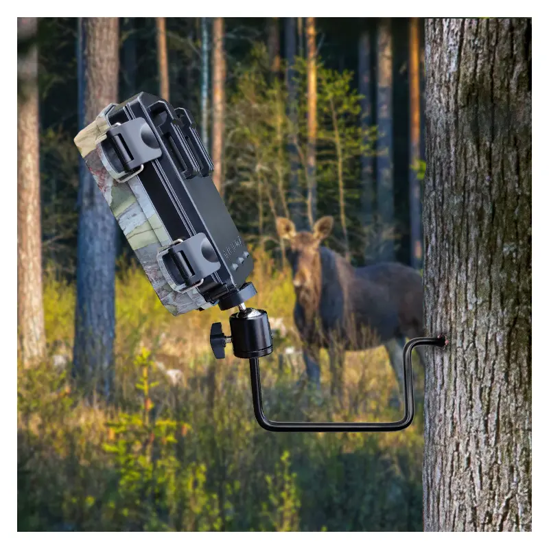 BRAUN Baumschraube für Wildkameras 1/4"