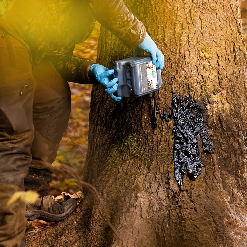 Weisskirchen Wildlockmittel Buchenholzteer 3 kg | Anwendung an einem Malbaum