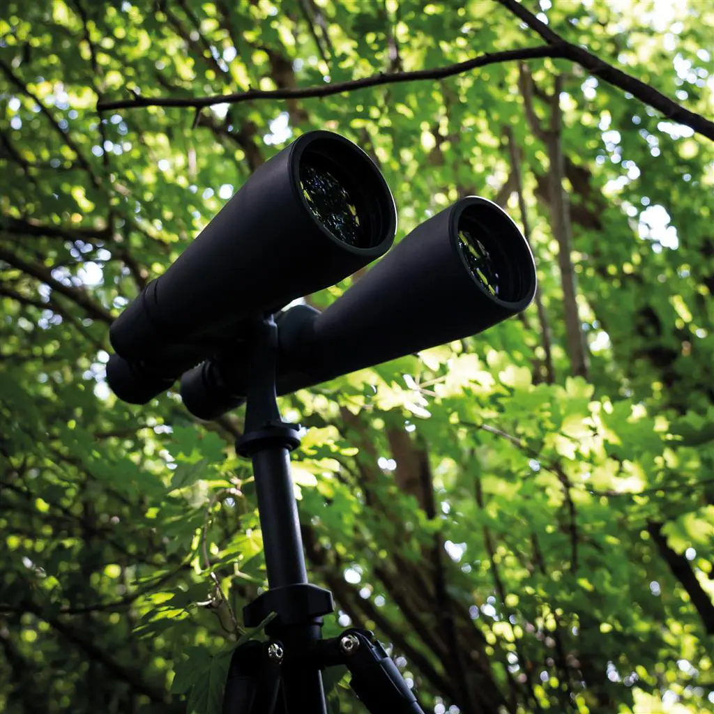 DÖRR Jumbo Fernglas 11x70 | LICHTSTARKE BEOBACHTUNGEN