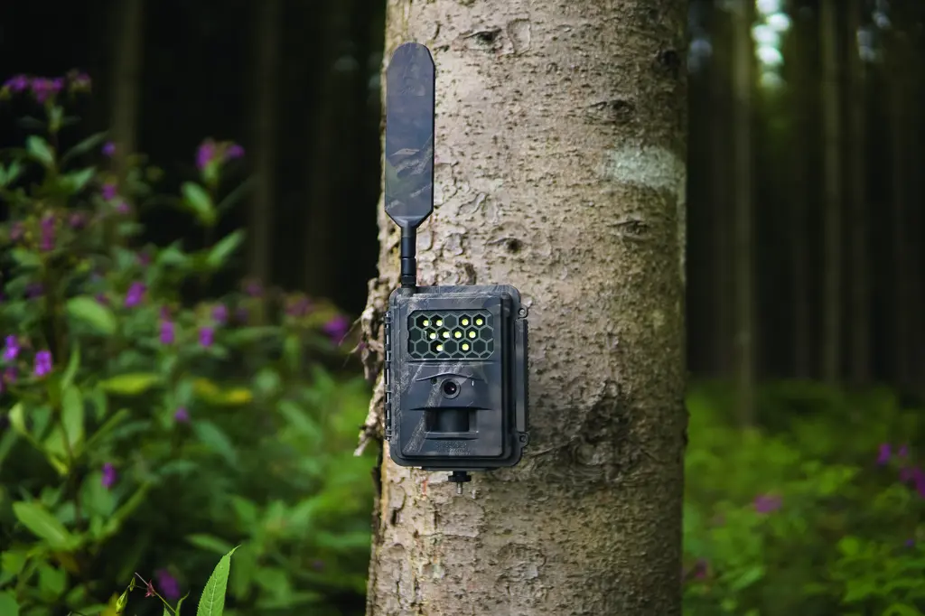 SEISSIGER Special-Cam LTE "Weißblitz" - SUPERSIM-Edition