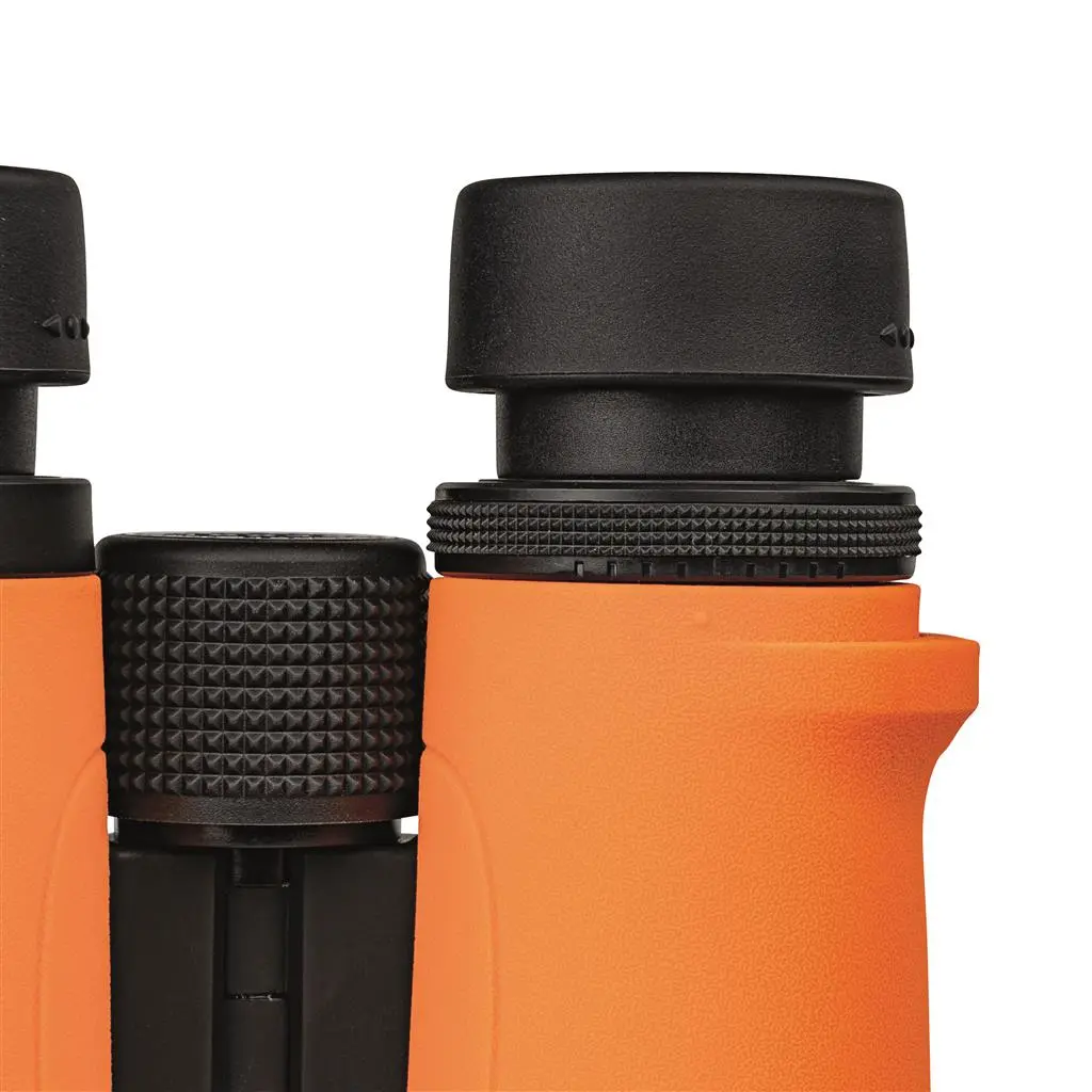 Dörr Dachkantfernglas SIGNAL XP 8x42 orange