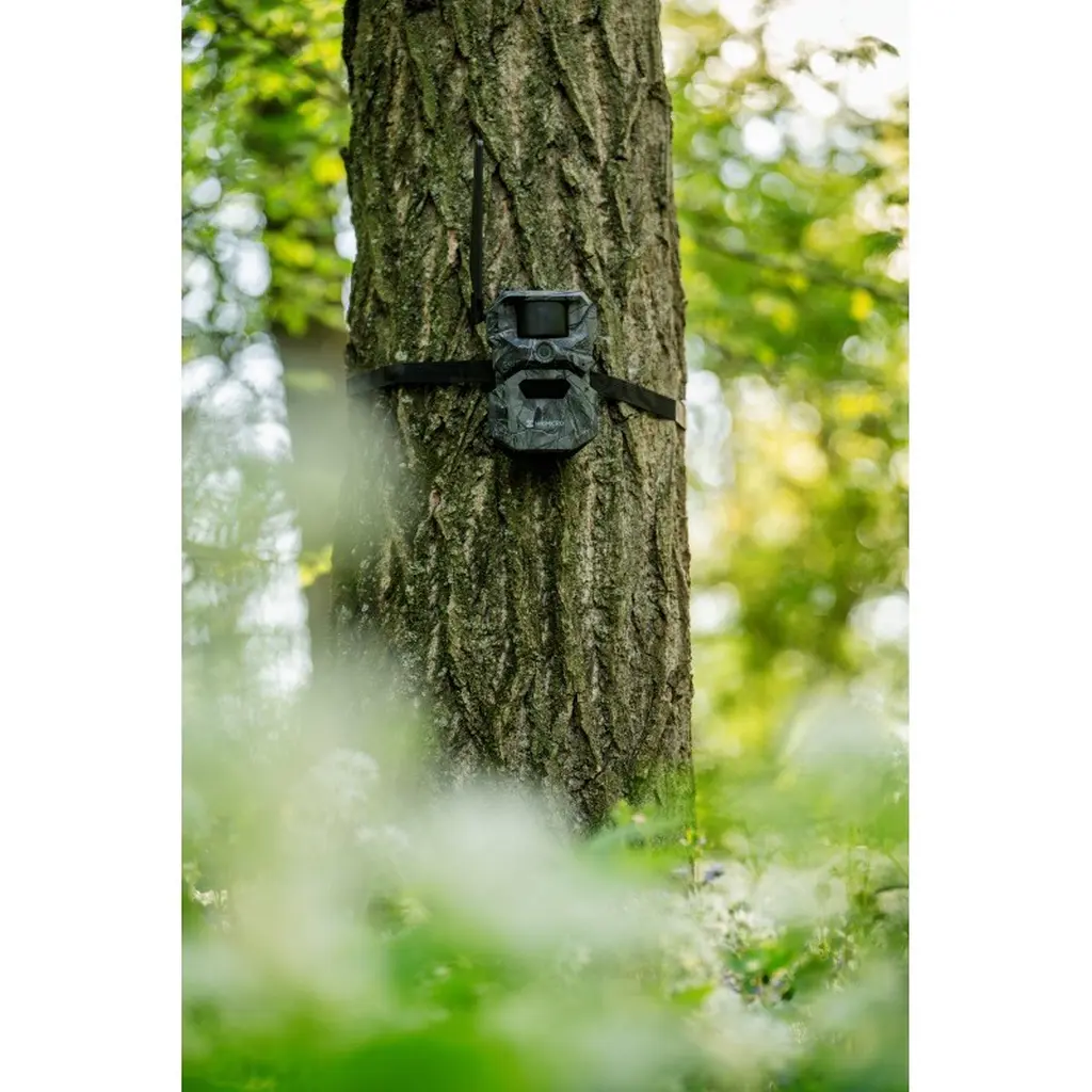 HIKMICRO Funk-Wildkamera T16 am Baum montiert in Waldumgebung
