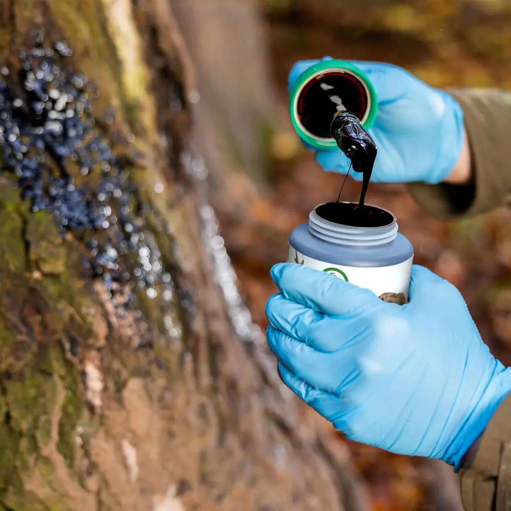Weisskirchen Wildlockmittel Buchenholzteer 500 g mit Pinsel