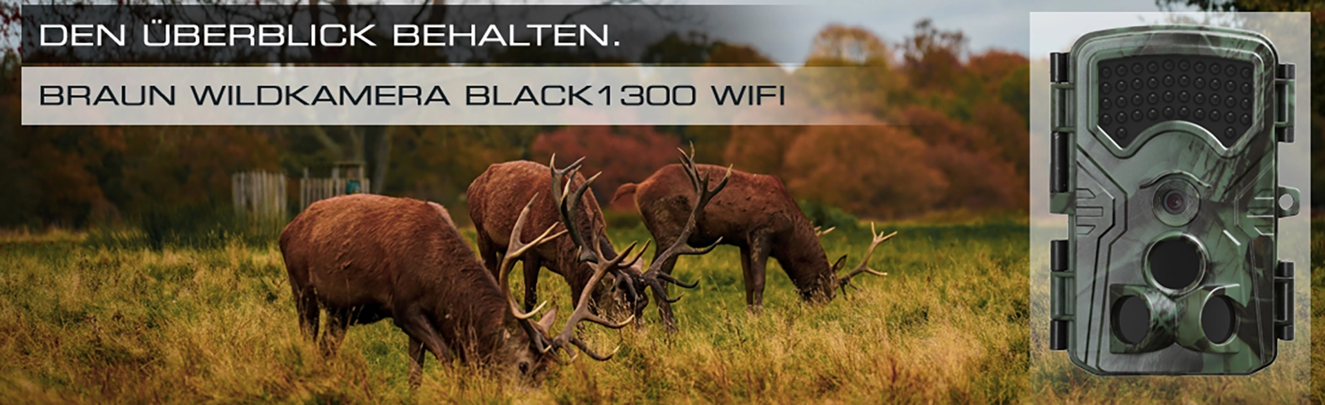 BRAUN Scouting Cam Black1300 WiFi | Jagdrevier-&Uuml;berwachung