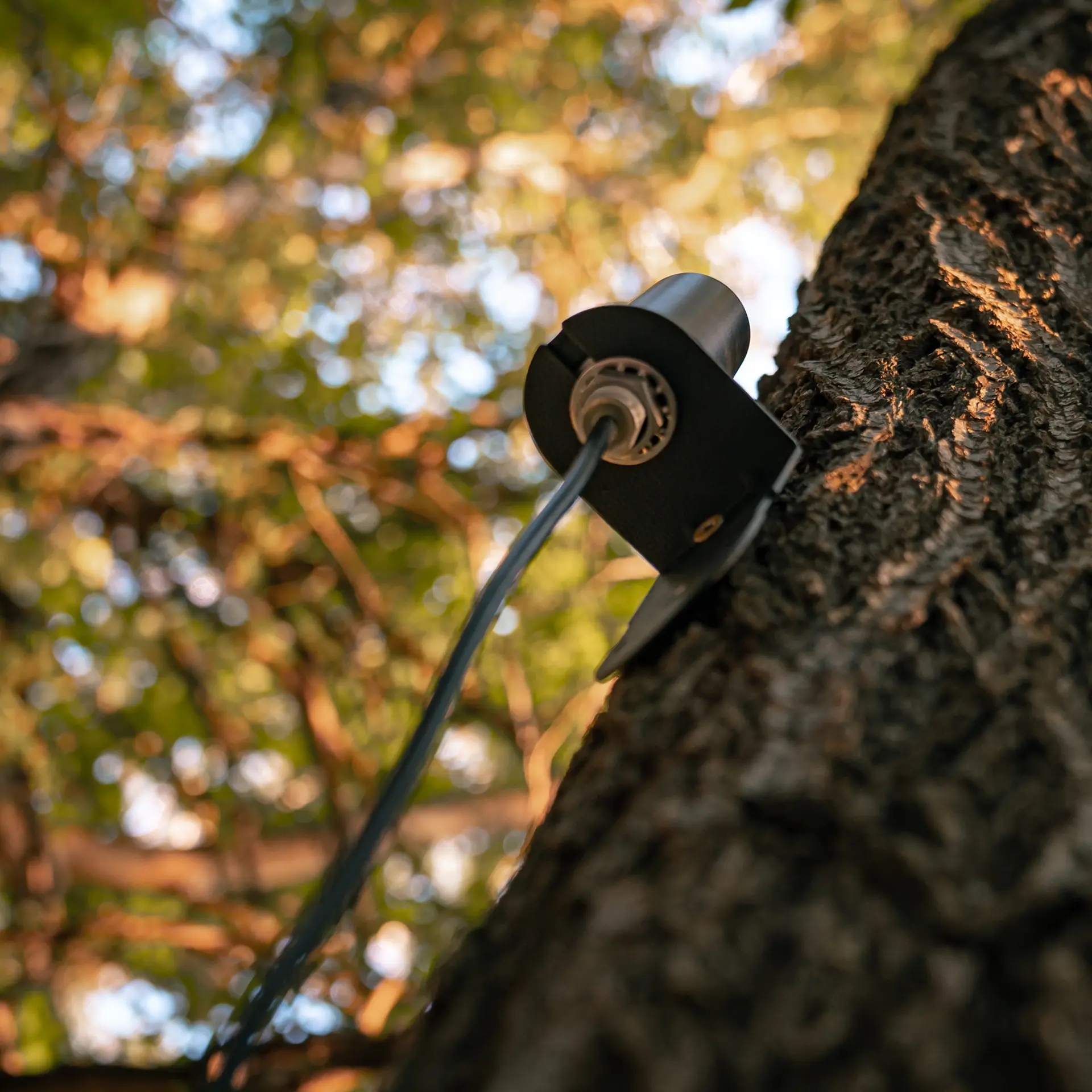 SPYPOINT CA-01 Antenne