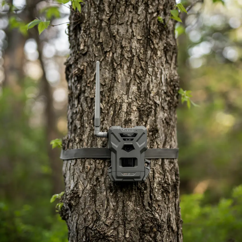 SPYPOINT FLEX-M Wildkamera am Baum montiert im Reviereinsatz