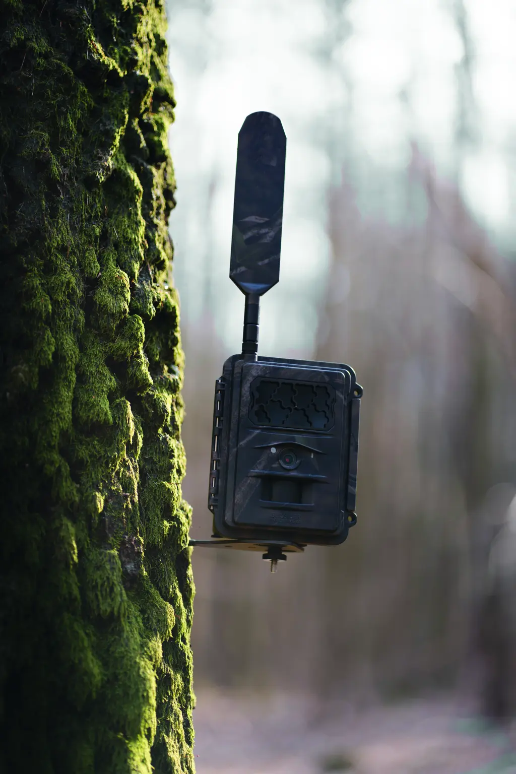 SEISSIGER Wildkamera LTE - SUPERSIM-Edition Li-Ion-Akku-Pack SEISSIGER Wildkamera LTE - SUPERSIM-Edition Li-Ion-Akku-Pack
