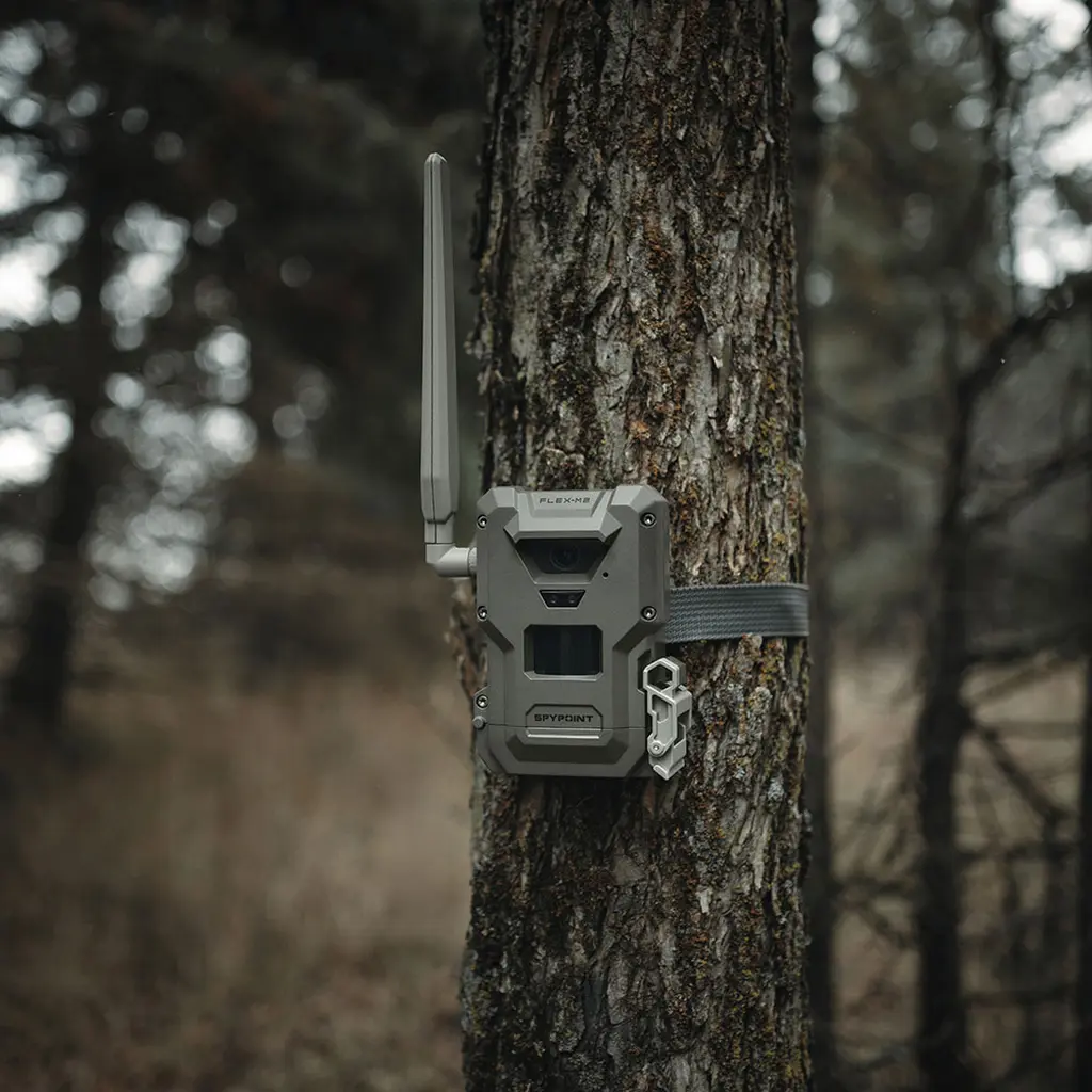 SPYPOINT FLEX-M2 LTE Wildkamera | Am Baum montiert im Revier