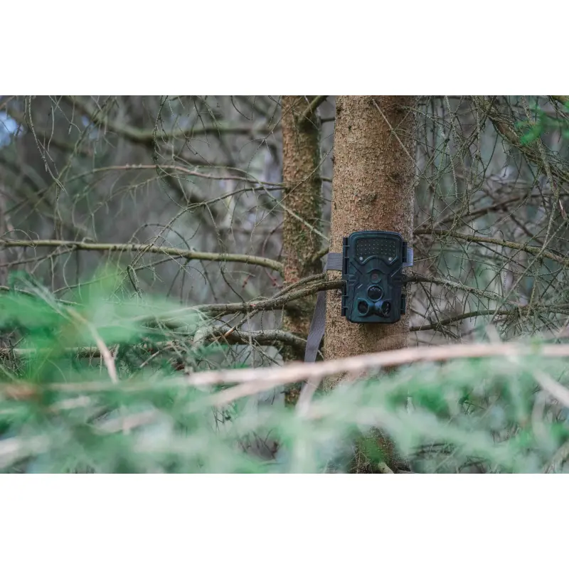BRAUN Scouting Cam Black1300 WiFi montiert am Baum im Wald