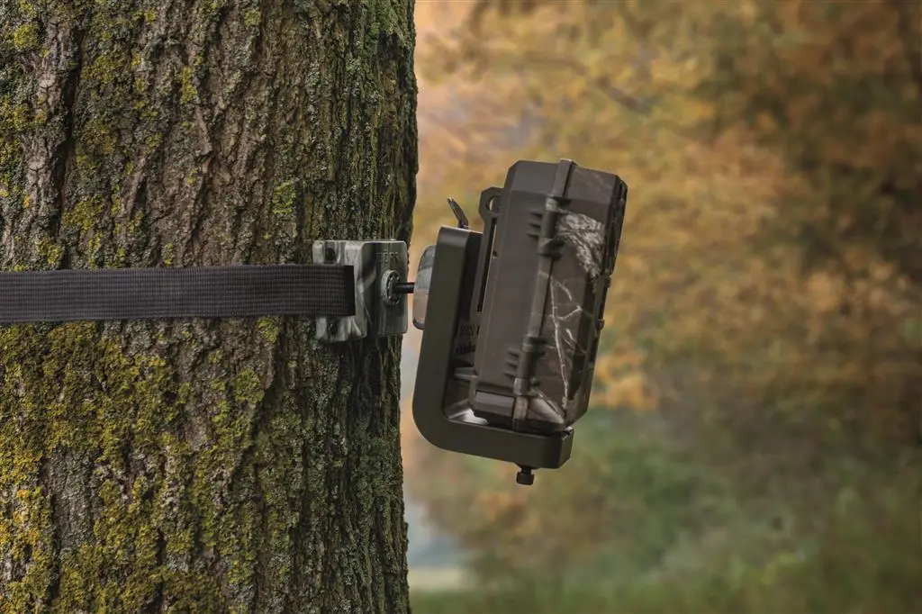 Dörr Universal Befestigungsgurt BG-150 schwarz