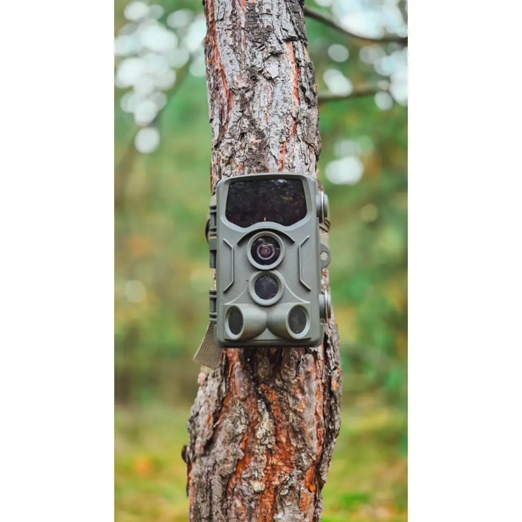 BRAUN Scouting Cam Black800 Wildkamera montiert am Baum