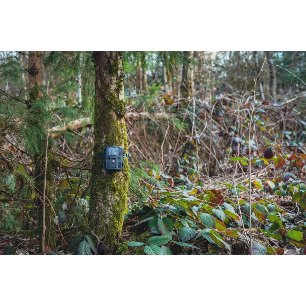 BRAUN Scouting Cam Black200 Mini