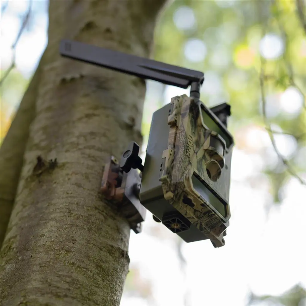 DÖRR Haltesystem Multi für SnapShot camouflage