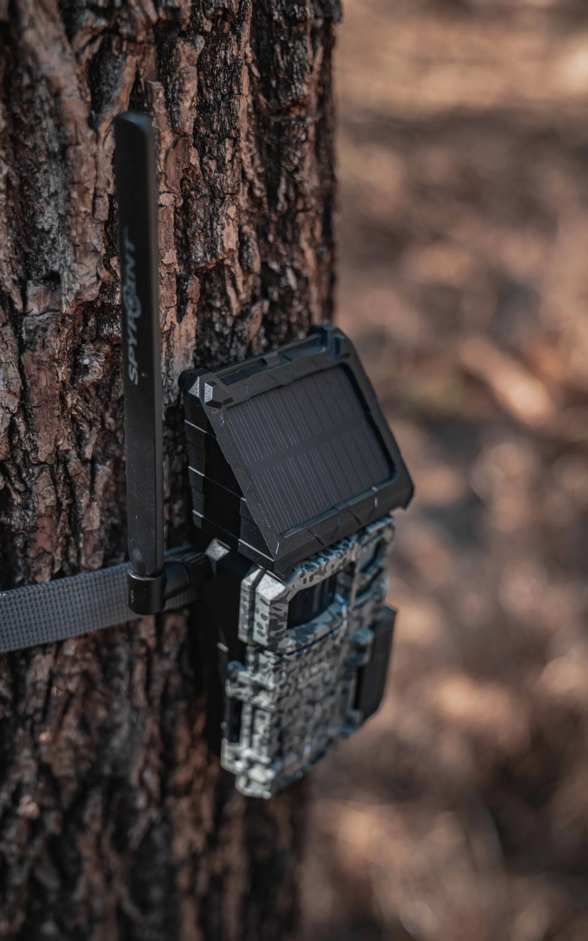 SPYPOINT LINK-MICRO-S SPYPOINT LINK-MICRO-S