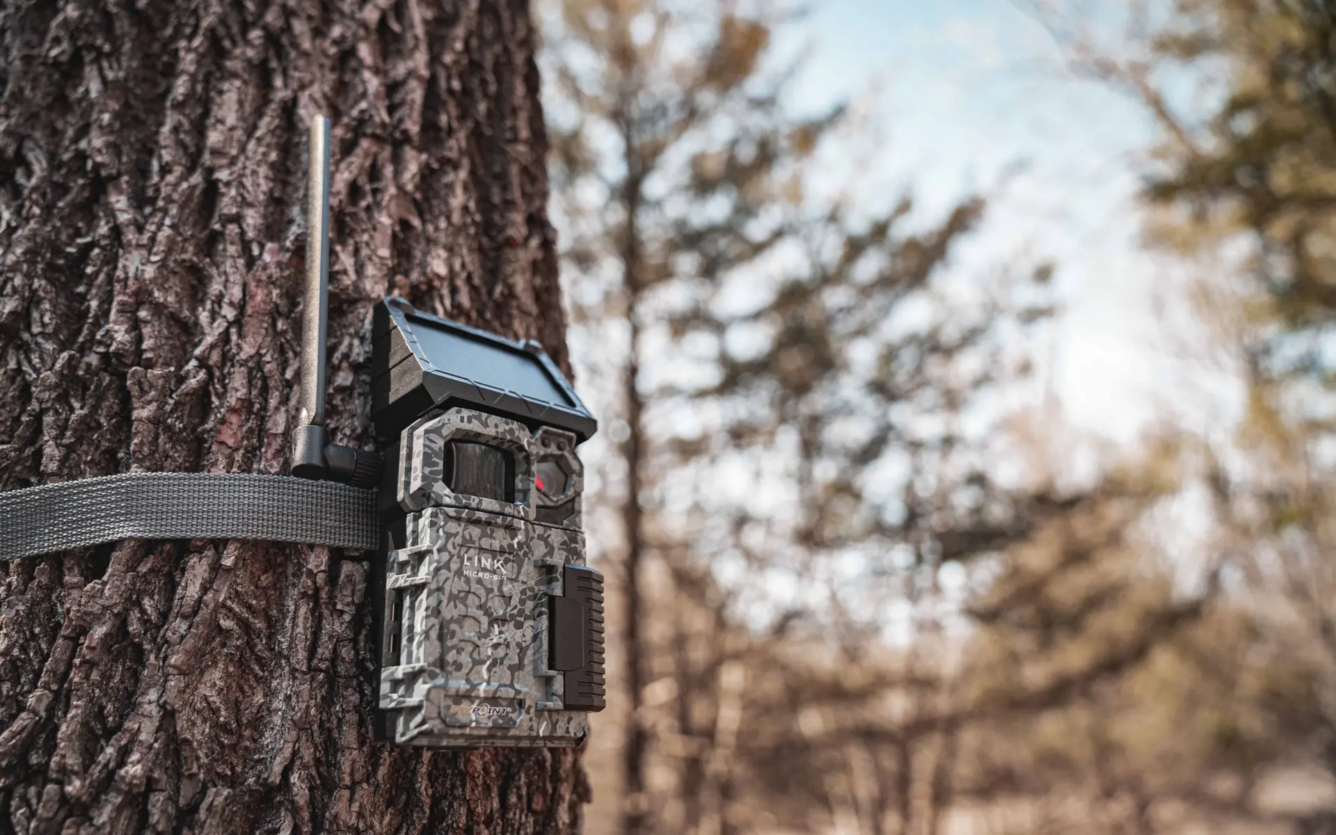 SPYPOINT LINK-MICRO-S SPYPOINT LINK-MICRO-S