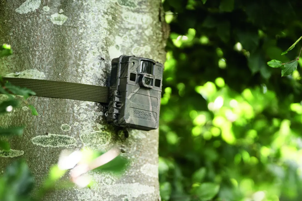 SEISSIGER Wildkamera Mini-Cam seitlich am Baum befestigt, unauffällige Tarnung im Wald