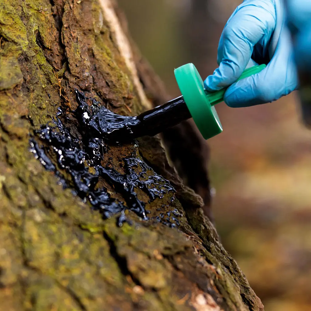 Weisskirchen Wildlockmittel Buchenholzteer 500 g mit Pinsel